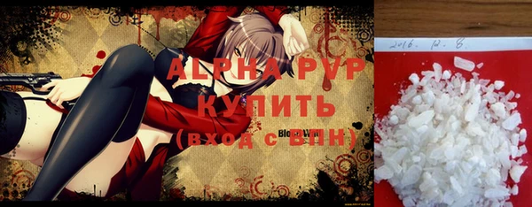 стаф Кодинск