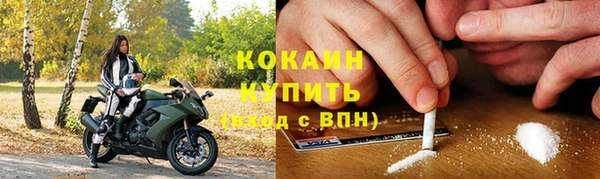 стаф Кодинск