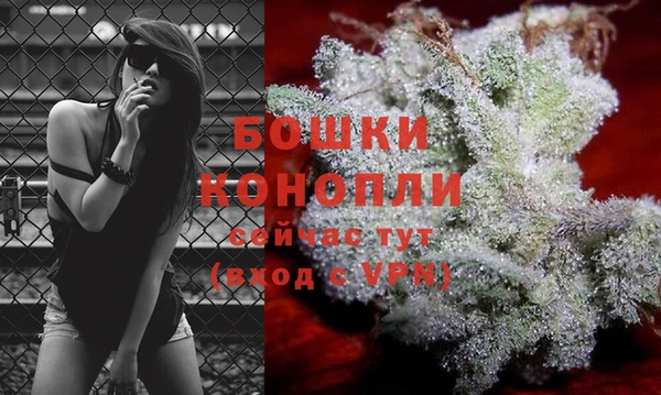 трава Козловка
