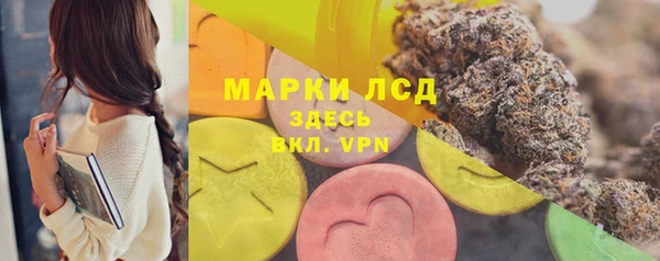 стаф Кодинск