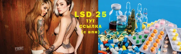 стаф Кодинск